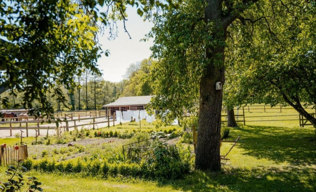 Ferienhof Trapp Ellringen Exterior photo